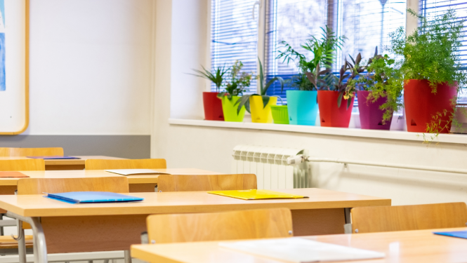 Skola