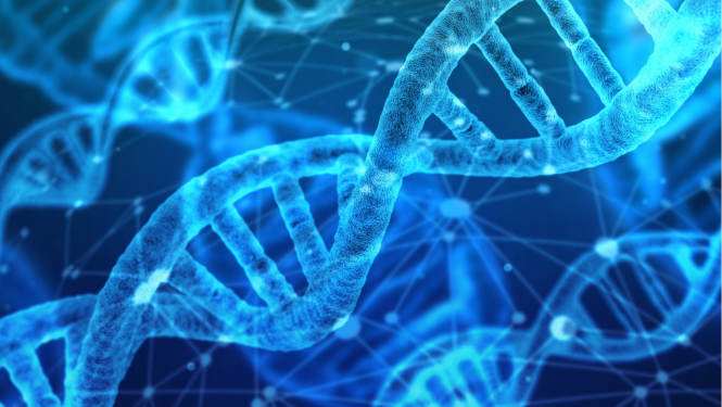 DNA