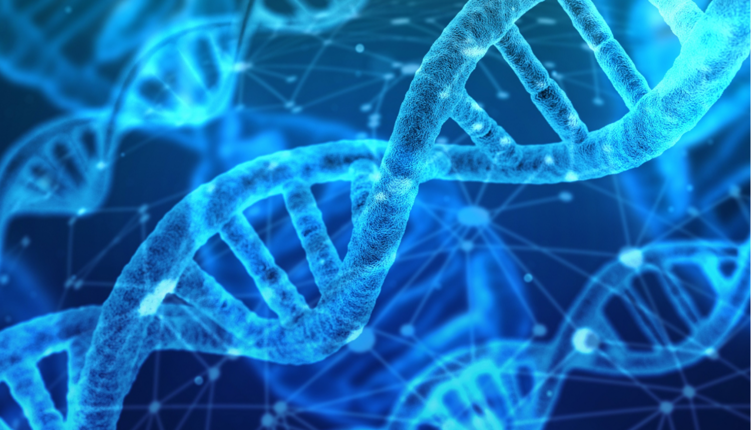 DNA