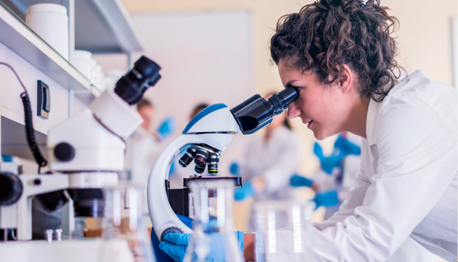 Laboratorija