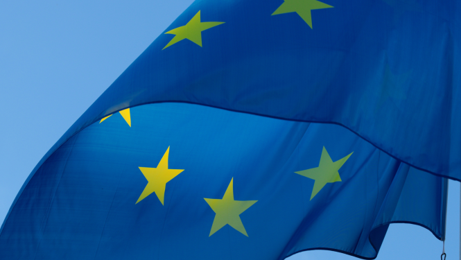ES logo ansamblis
