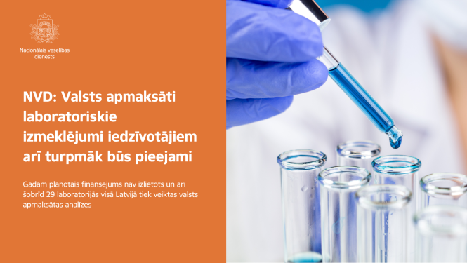 vizualis NVD