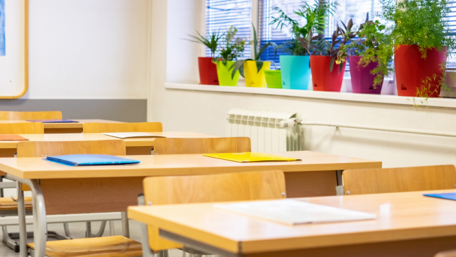 Skola