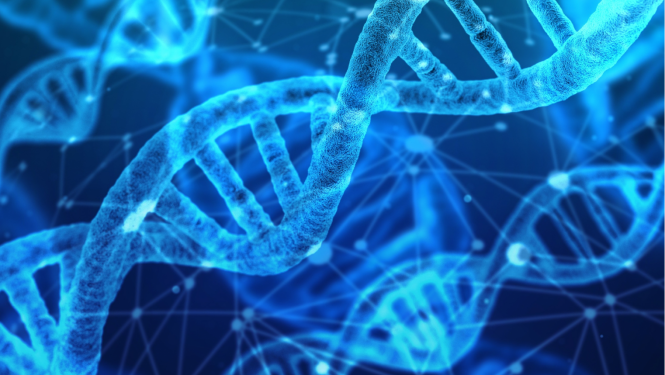 DNA