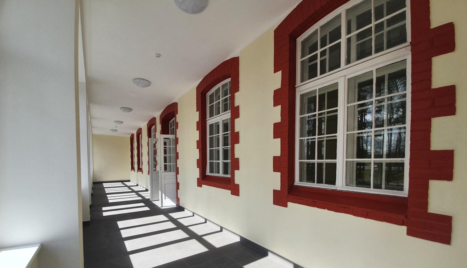 VSIA “Strenču psihoneiroloģiskā slimnīca”