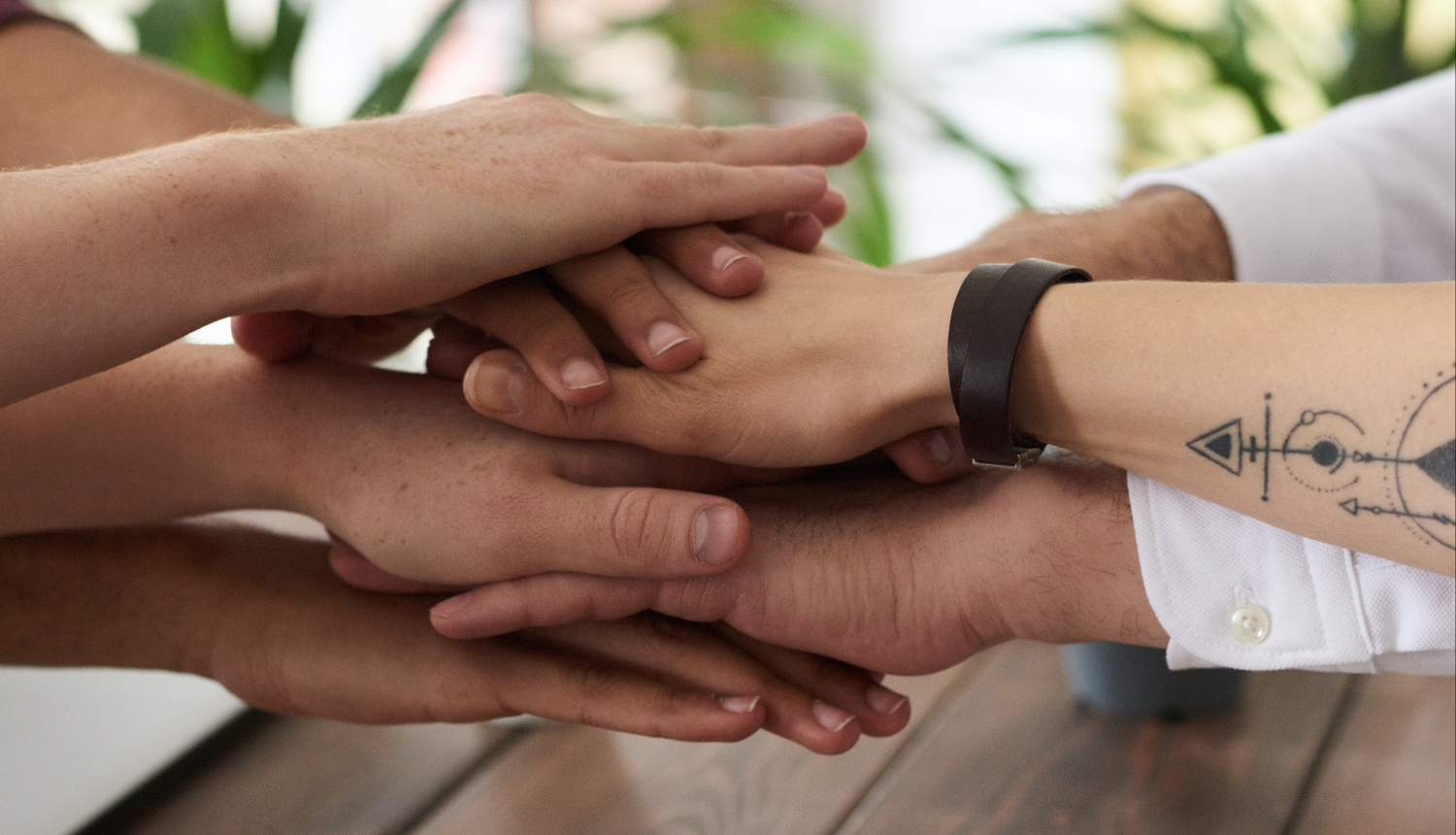 narkotiku lietošanas dekriminalizācija