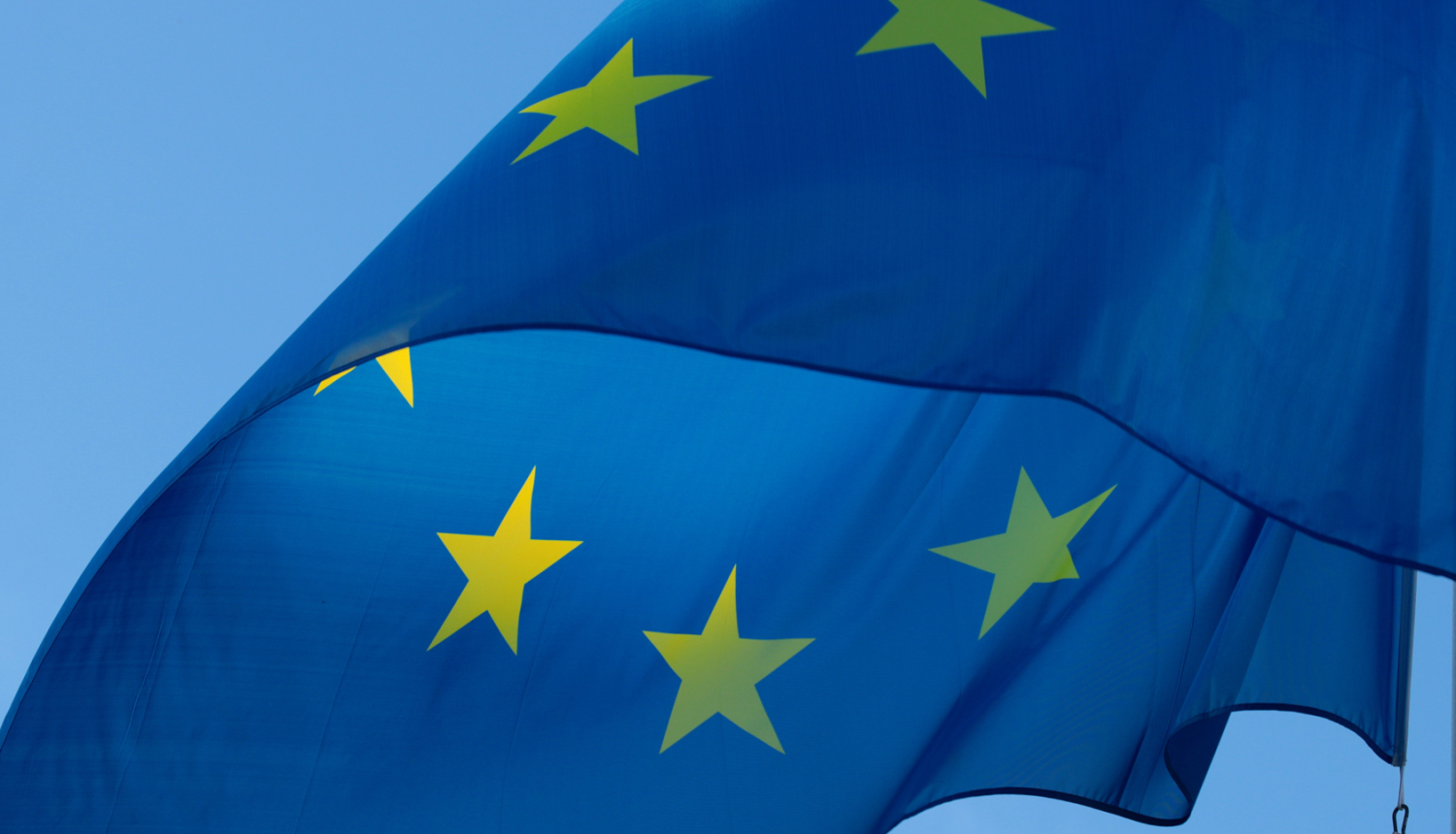 ES logo ansamblis